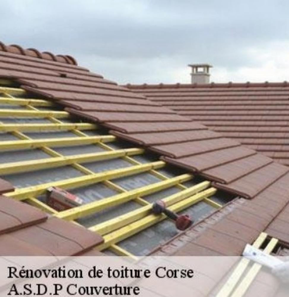 Rénovation toiture couvreur 20